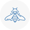 Bee Nest Removal Keswick