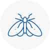 Moth Control Specialists In Keswick