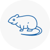 Rat Control Keswick