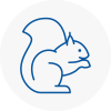 Keswick Rodent Removals